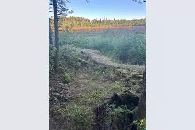 3382 God's Wilderness Rd, Finland, MN 55603 - Photo 36