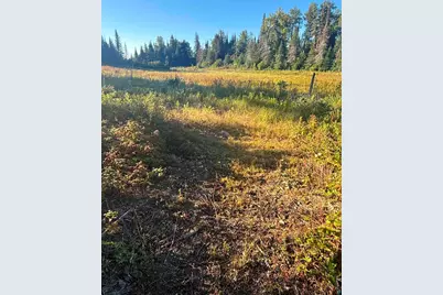 3382 God's Wilderness Rd, Finland, MN 55603 - Photo 62