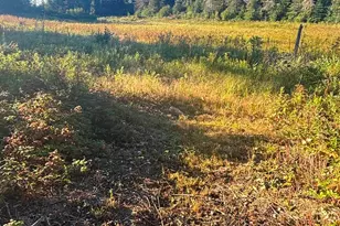 3382 Gods Wilderness Rd, Finland, MN 55603 - Photo 62