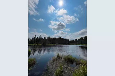 3382 God's Wilderness Rd, Finland, MN 55603 - Photo 50