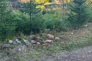 3382 Gods Wilderness Rd, Finland, MN 55603 - Photo 66