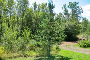 265 Mink Ranch, Lutsen Township, MN 55612 - Photo 46