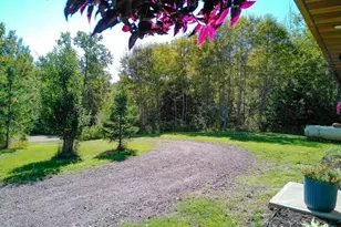 265 Mink Ranch, Lutsen Township, MN 55612 - Photo 42