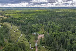 3308 Lenont Rd, Babbitt, MN 55706 - Photo 86