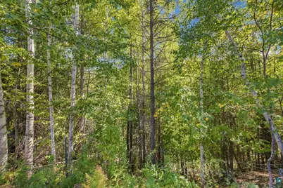 65889 Old County Rd, Marengo, WI 54855 - Photo 42