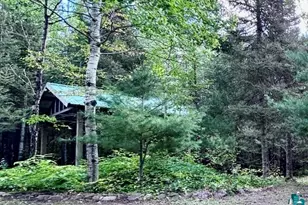 9501 Gunflint Trail, Grand Marais, MN 55604 - Photo 8