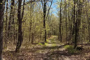 4715 Hefflefinger Rd, Finland, MN 55603 - Photo 24