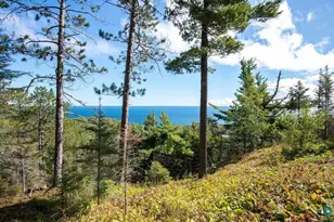 5740 Illgen Bluff Rd, Silver Bay, MN 55614 - Photo 12