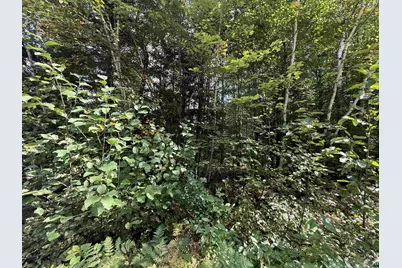 Xxxx Johnson Rd, Floodwood, MN 55736 - Photo 14