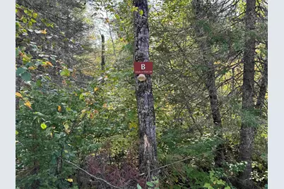6827 Two Moose Tr, Finland, MN 55603 - Photo 18