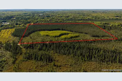 50Xx Caribou Lake Rd, Saginaw, MN 55779 - Photo 2