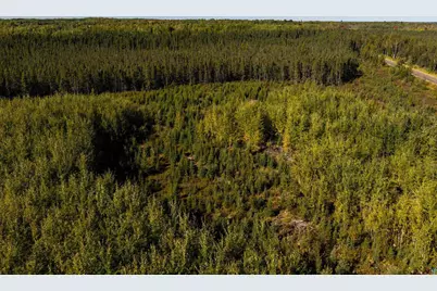 50Xx Caribou Lake Rd, Saginaw, MN 55779 - Photo 8