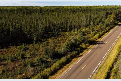 50Xx Caribou Lake Rd, Saginaw, MN 55779 - Photo 10
