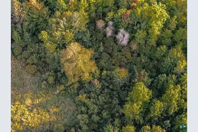 Xxx Crane Lake Rd, Orr, MN 55771 - Photo 4