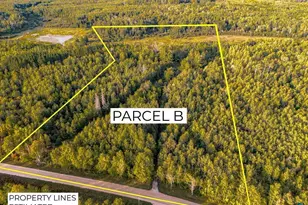 Xxx Crane Lake Rd, Orr, MN 55771 - Photo 1