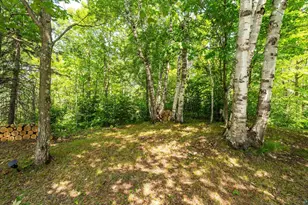 4889 Peyton Dr, Hermantown, MN 55811 - Photo 54