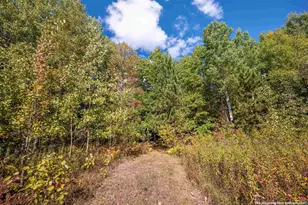 38274 Tober Rd, Marengo, WI 54855 - Photo 40
