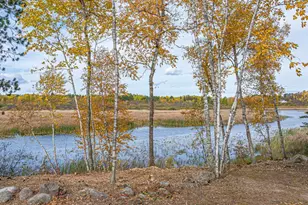 139 Fernberg Rd, Ely, MN 55731 - Photo 58