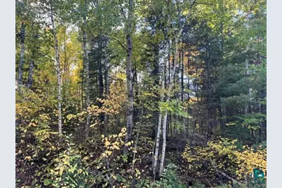 Tbd Lost Lake Rd, Tower, MN 55790 - Photo 10