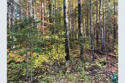 Tbd Lost Lake Rd, Tower, MN 55790 - Photo 4