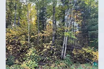 Tbd S Loon Lake Rd, Aurora, MN 55705 - Photo 12