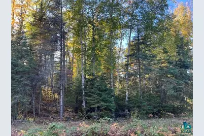 Tbd S Loon Lake Rd, Aurora, MN 55705 - Photo 10