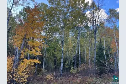 Tbd S Loon Lake Rd, Aurora, MN 55705 - Photo 1