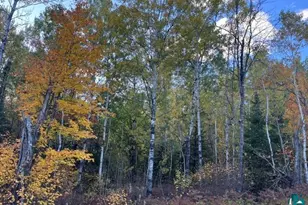 Tbd S Loon Lake Rd, Aurora, MN 55705 - Photo 1