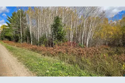 Tbd 28.9 Rangeline Rd, Orr, MN 55771 - Photo 18