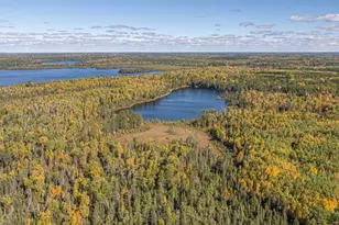 8989 Pulkinen Rd, Embarrass, MN 55732 - Photo 58