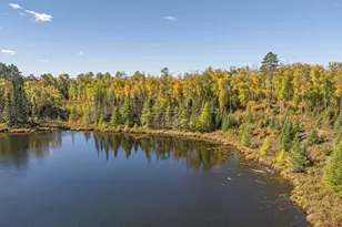 8989 Pulkinen Rd, Embarrass, MN 55732 - Photo 70
