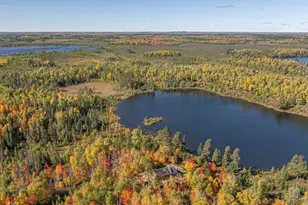 8989 Pulkinen Rd, Embarrass, MN 55732 - Photo 54