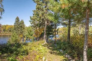 8989 Pulkinen Rd, Embarrass, MN 55732 - Photo 40