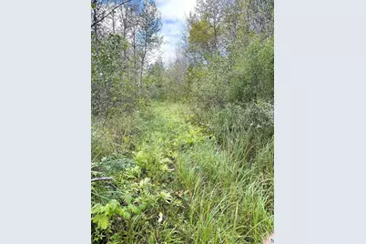 Tbd Trail Rd, Barnum, MN 55707 - Photo 4