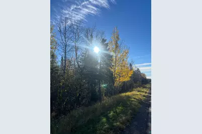 Xxxx Hwy 1, Finland, MN 55603 - Photo 4