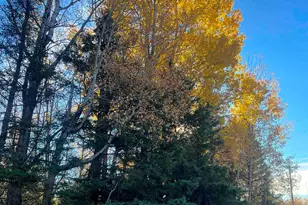 Xxxx Hwy 1, Finland, MN 55603 - Photo 1