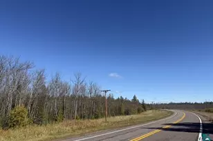 Tbd Nett Lake Rd, Orr, MN 55771 - Photo 1