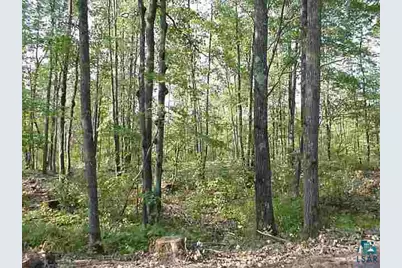 Lot 3 Hart Lk Rd, Iron River, WI 54847 - Photo 1
