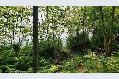 Xxx Trout Lake Rd, Delta, WI 54856 - Photo 1