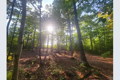 99Xxx Peterson Hill Rd, Bayfield, WI 54814 - Photo 1