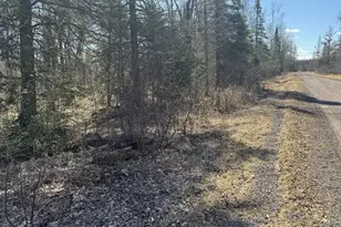 89Xx S Meller Rd, Bennett, WI 54873 - Photo 1