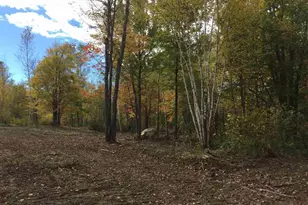 47Xx Munger Shaw Rd, Saginaw, MN 55779 - Photo 1