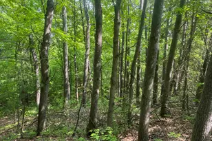 Tbd N 6th St, Bayfield, WI 54814 - Photo 1