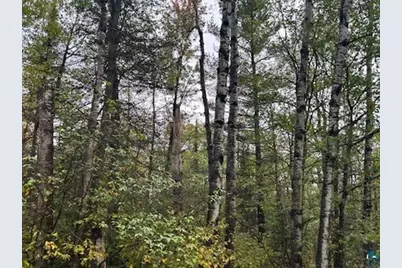 Xx3X Port Wing Town Line Rd, Port Wing, WI 54865 - Photo 1