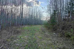 0000 Mertig Rd, Glidden, WI 54527 - Photo 1