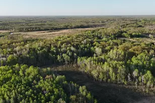 Tbd 180th Ln, Mcgrath, MN 56350 - Photo 1