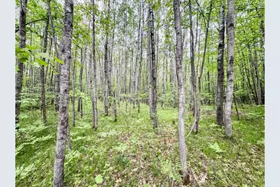 0 Kelly Rd, Lake Nebagamon, WI 54849 - Photo 1