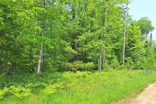 Lot 2 Block 1 Raspberry Trail, La Pointe, WI 54850 - Photo 1