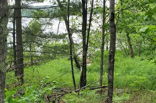 Tbd Palm Dr, Gilbert, MN 55741 - Photo 1