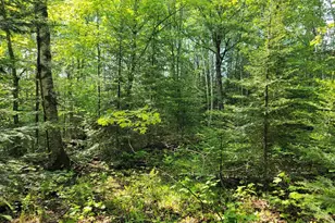 10X Franks Way, Grand Marais, MN 55604 - Photo 1